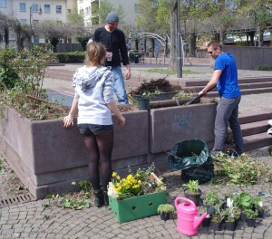 Urban_Gardening5
