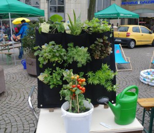 Urban_Gardening7